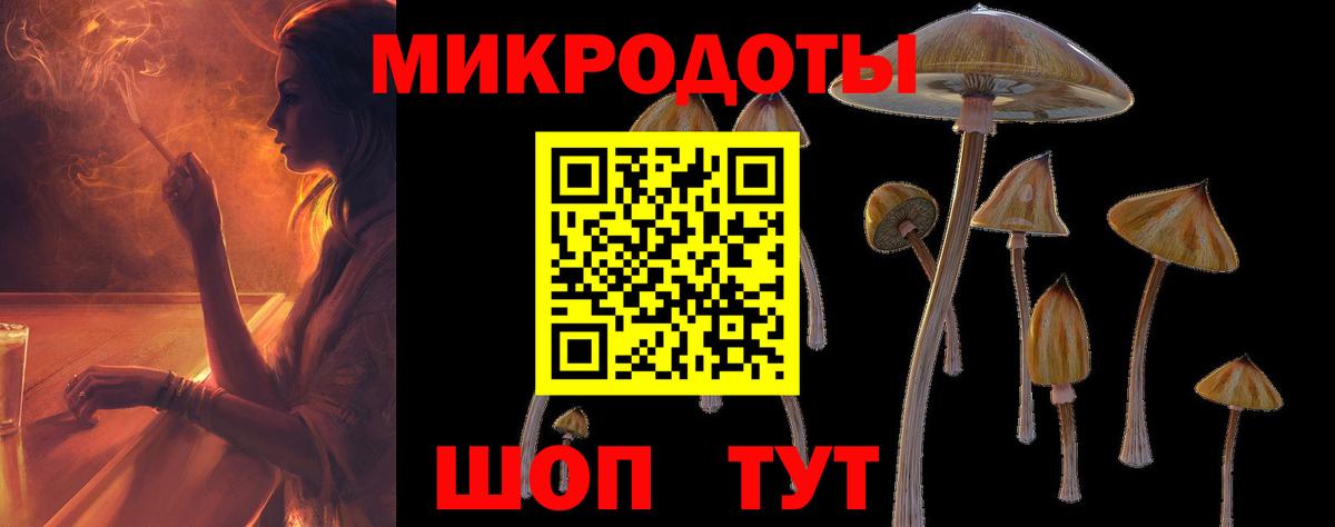 Псилоцибиновые грибы Cubensis Михайловск